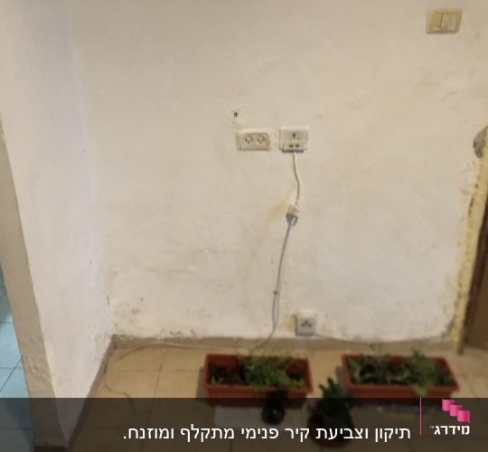 קיר עם שקעי חשמל ועציצים על הרצפה